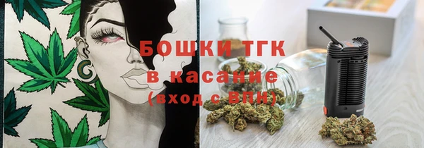 твердый Арсеньев