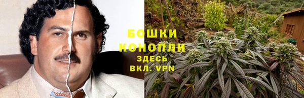 ПСИЛОЦИБИНОВЫЕ ГРИБЫ Аркадак