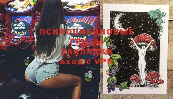 твердый Арсеньев
