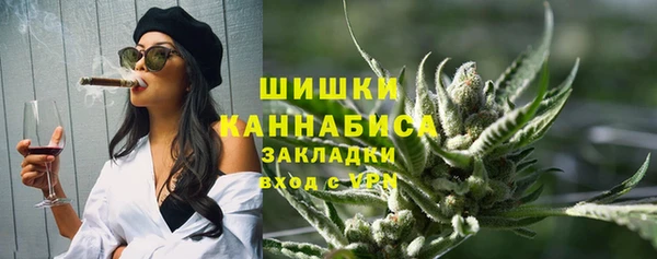 твердый Арсеньев