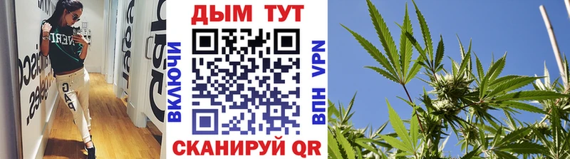 где можно купить Сусуман Канабис индика